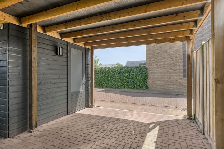 Foto 29 van Zachte Dravik 38