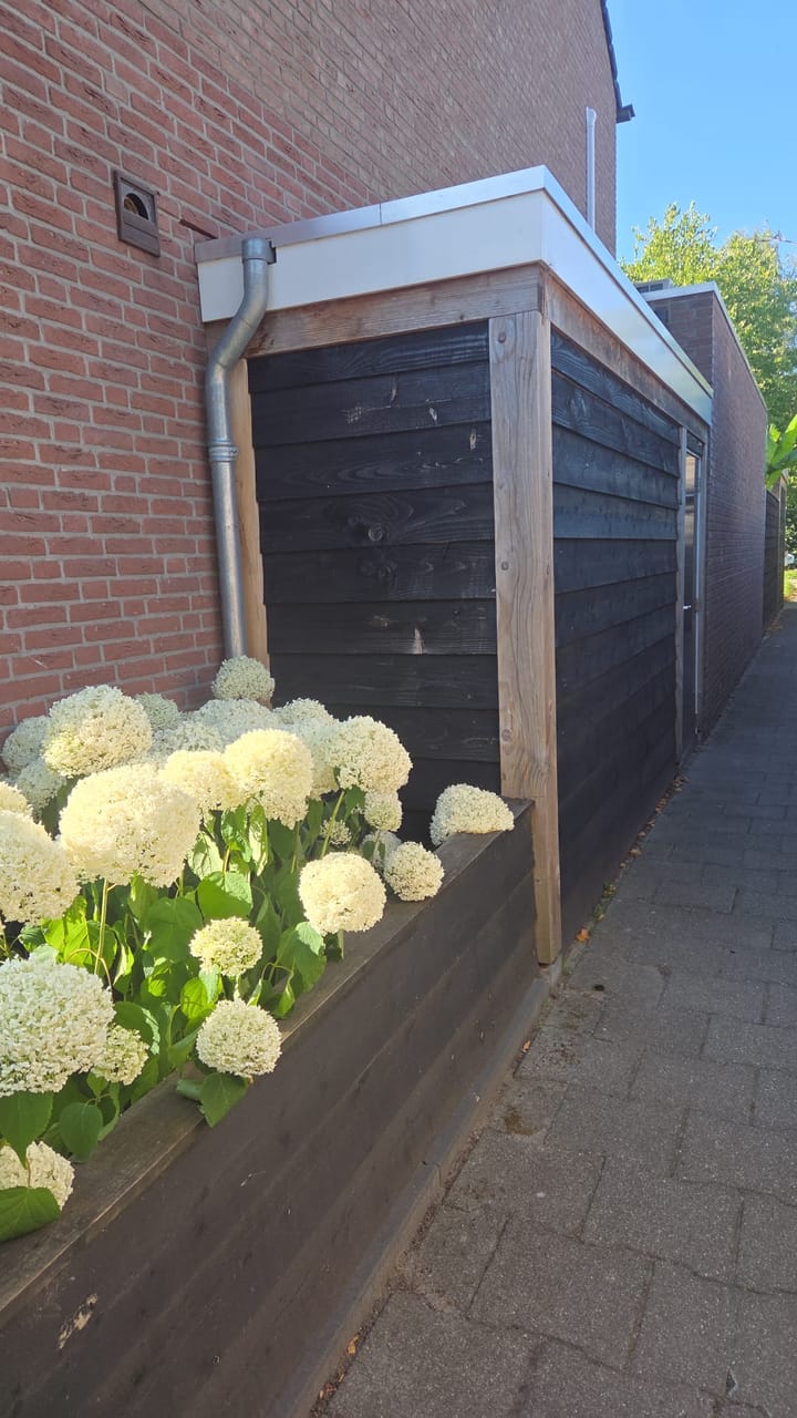 Foto 43 van Bartokstraat 2