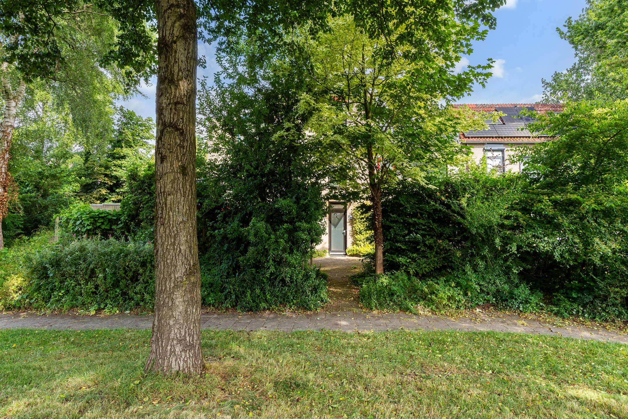 Photo 36 of Olieslagershorst 228