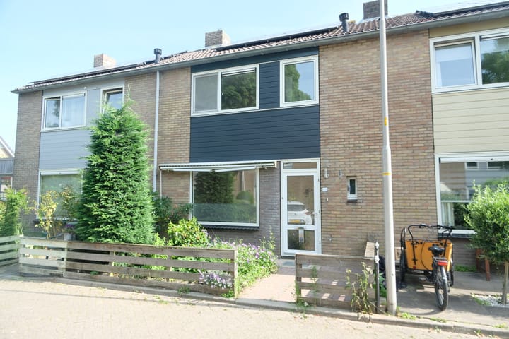 undefined main image