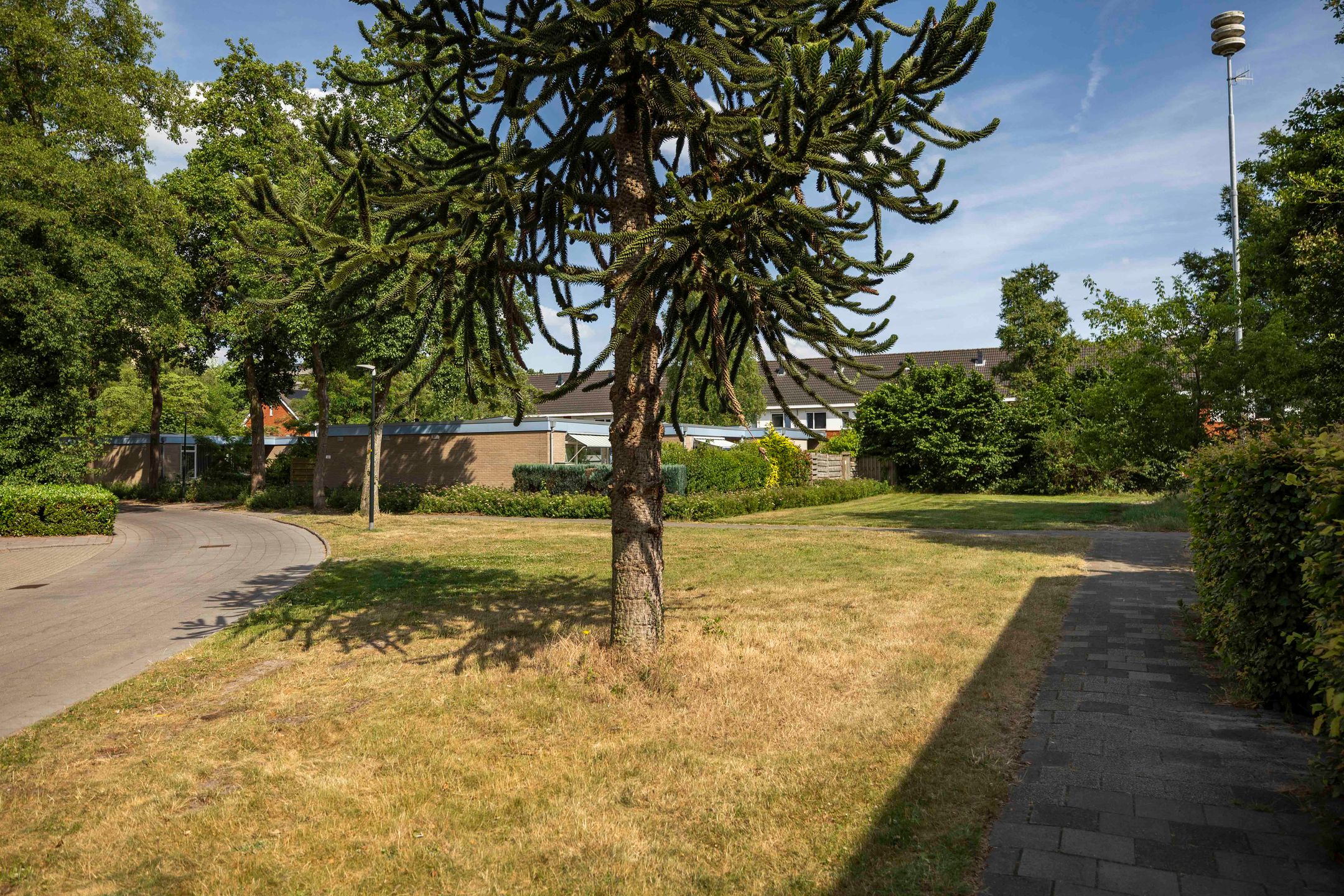 Photo 30 of Kalmoesstraat 54