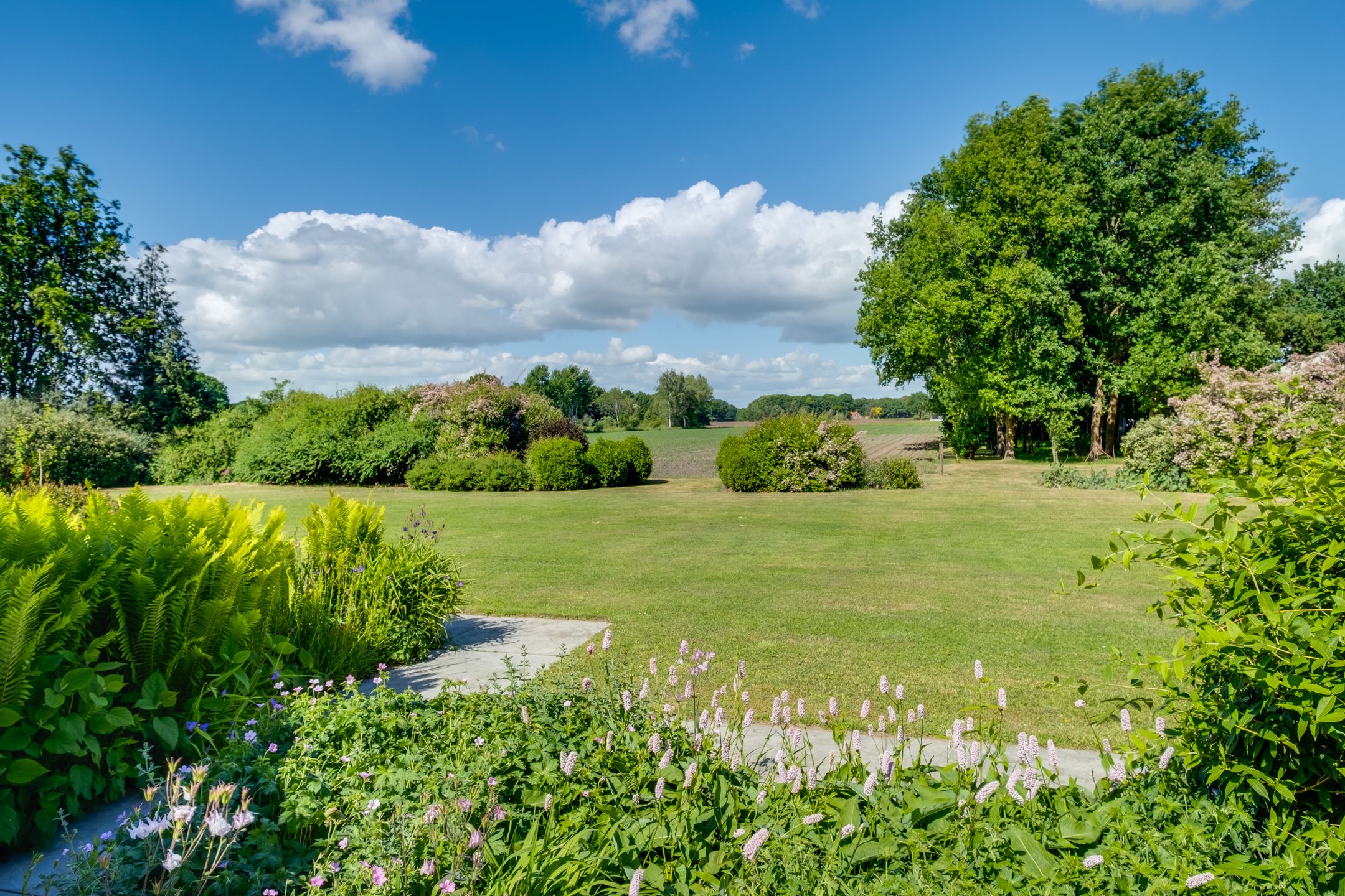 Foto 3 van Schepersweg 3