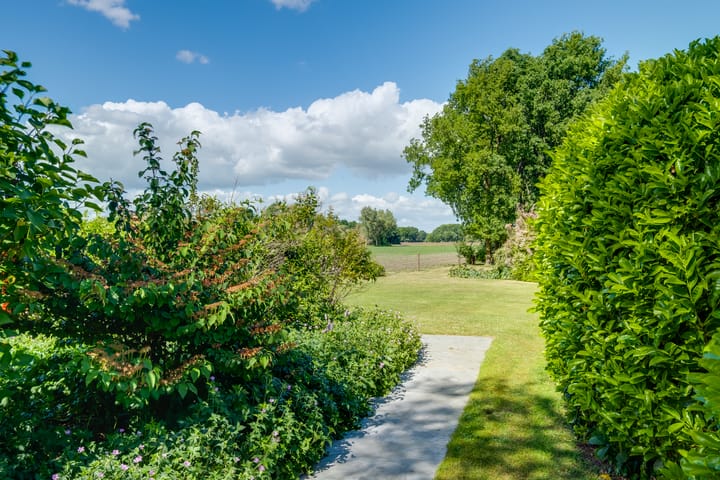 Foto 23 van Schepersweg 3