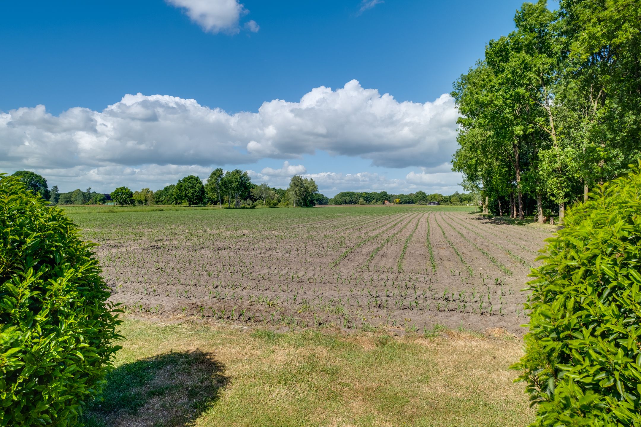 Foto 24 van Schepersweg 3