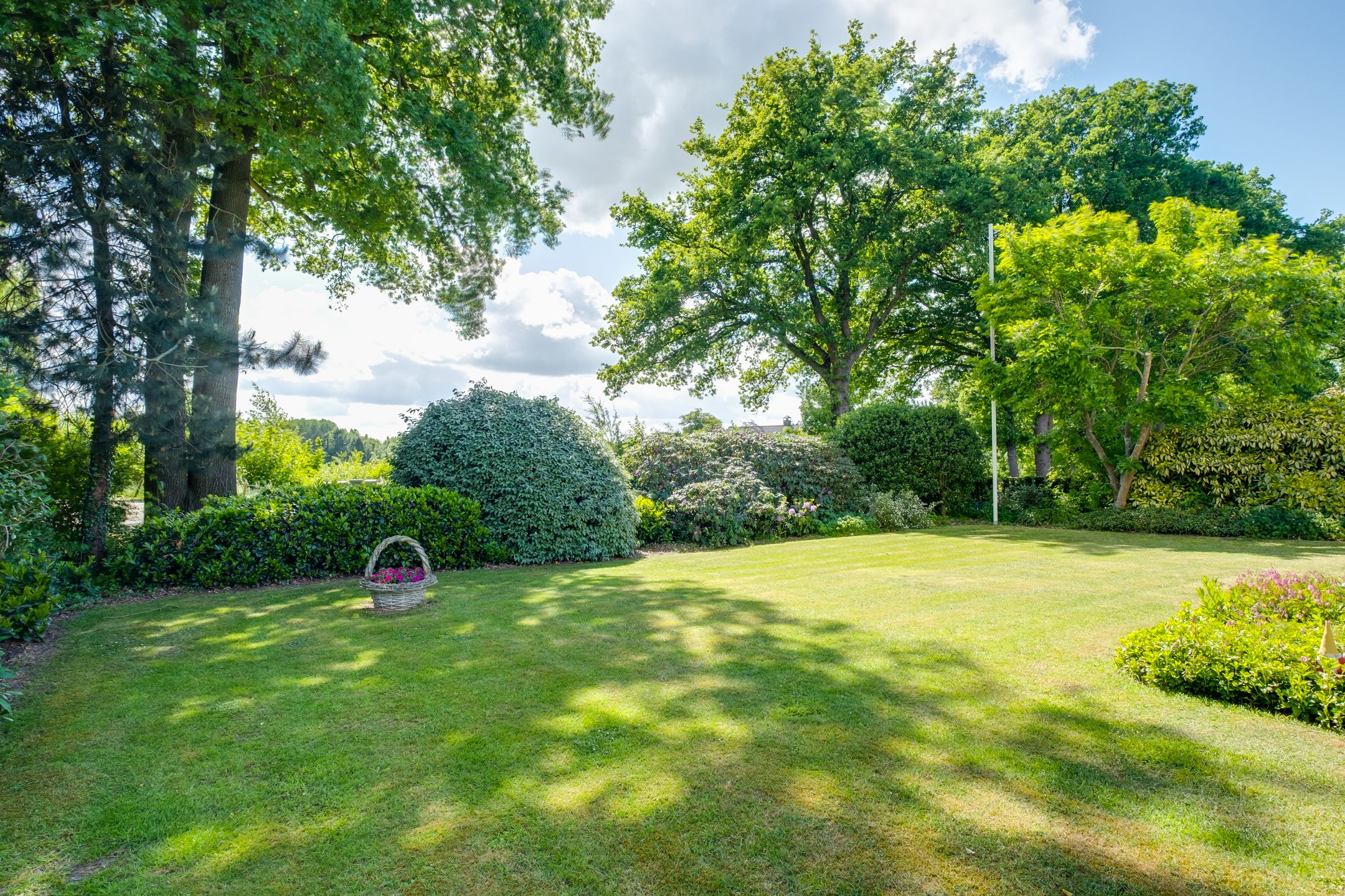 Foto 27 van Schepersweg 3