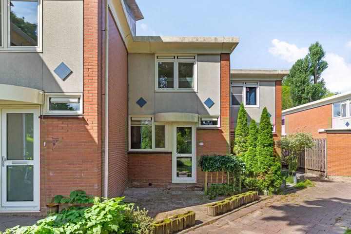 Foto 1 van Wilgepad 21