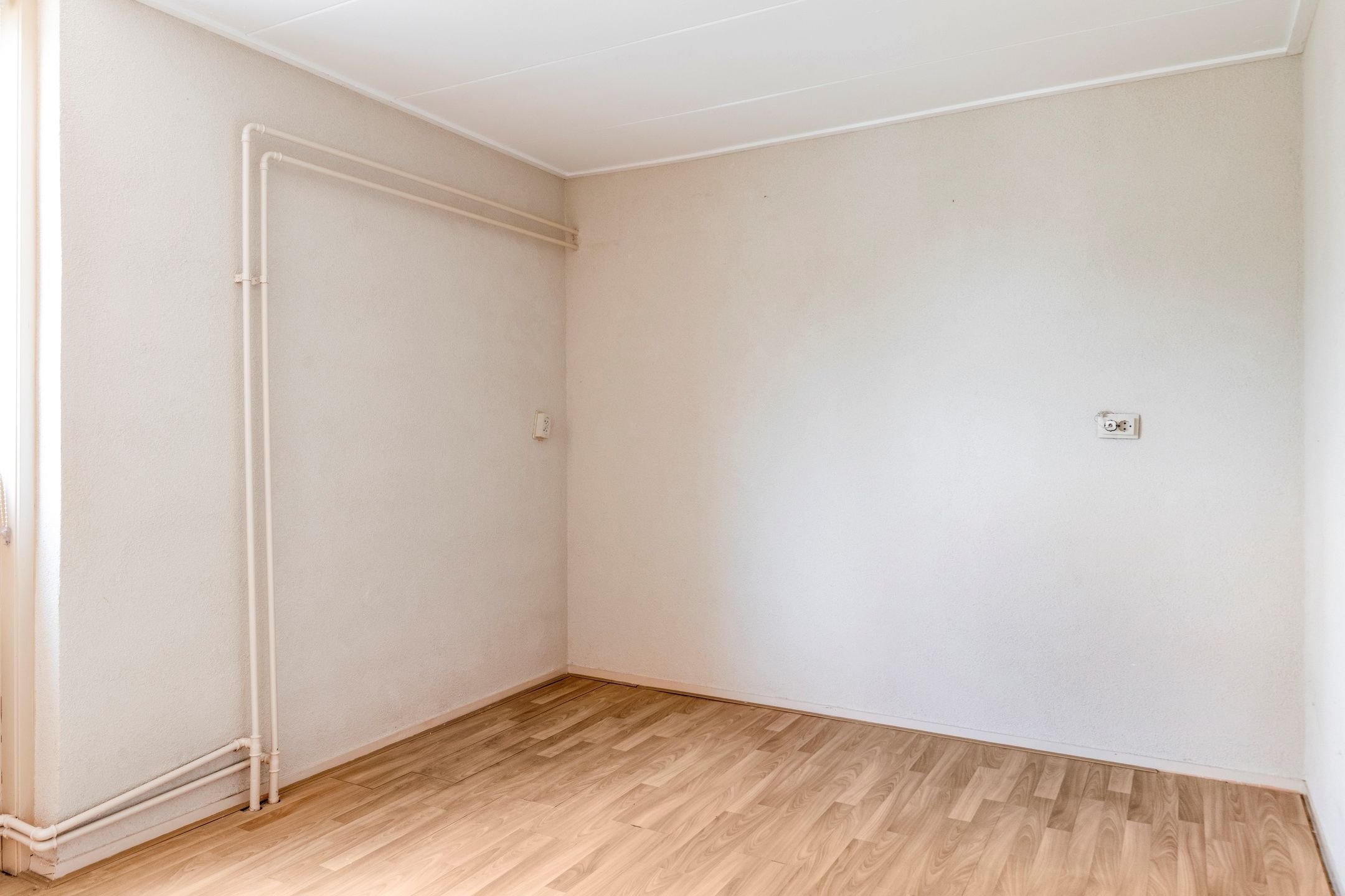 Foto 15 van Wilgepad 21