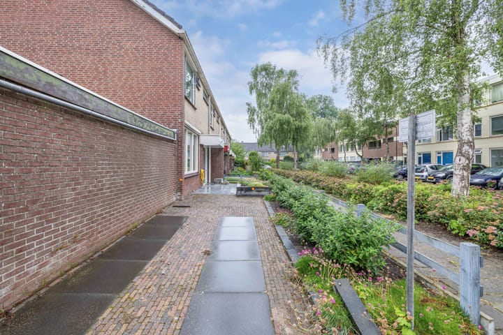 Foto 5 van Termijen 36