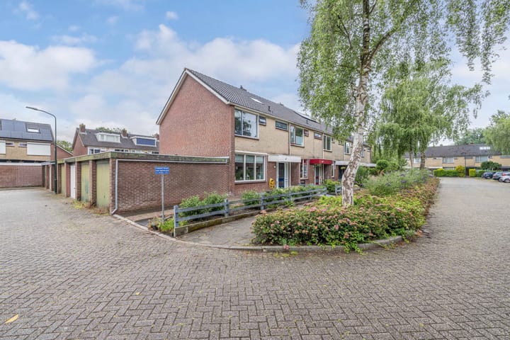 Foto 37 van Termijen 36