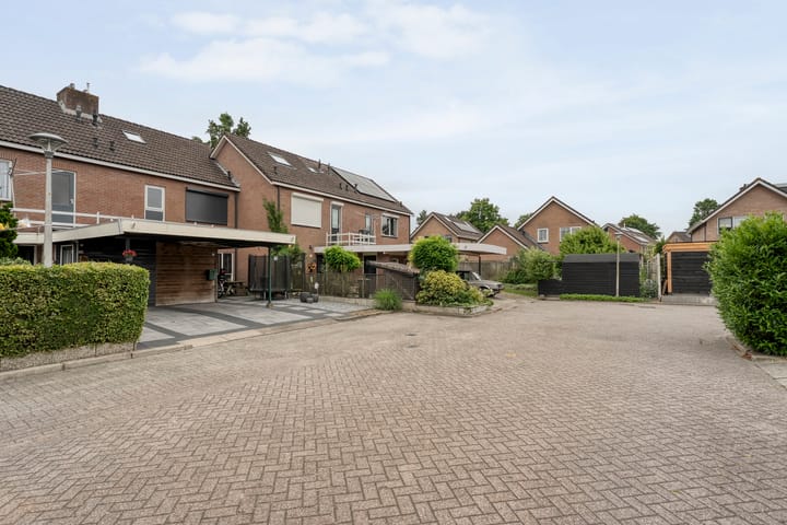 Foto 2 van Houtduif 15