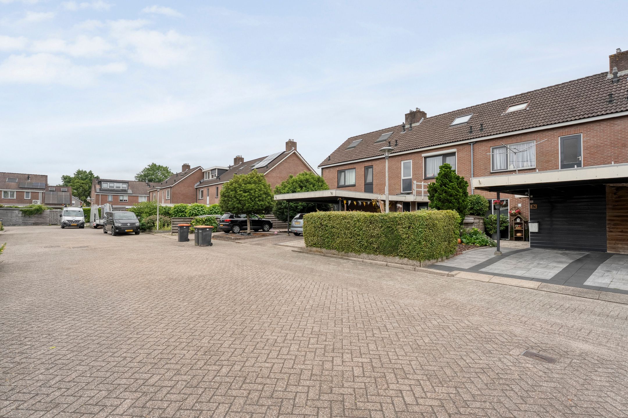 Foto 3 van Houtduif 15