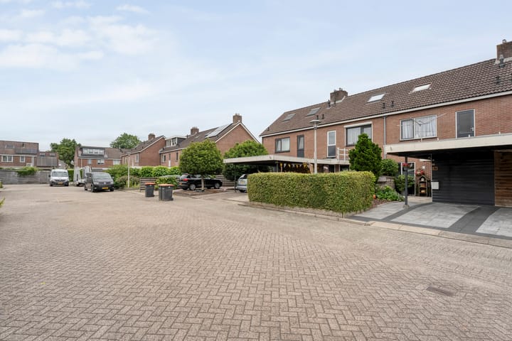 Foto 3 van Houtduif 15