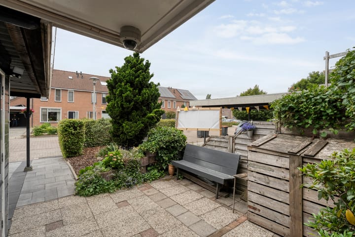 Foto 6 van Houtduif 15