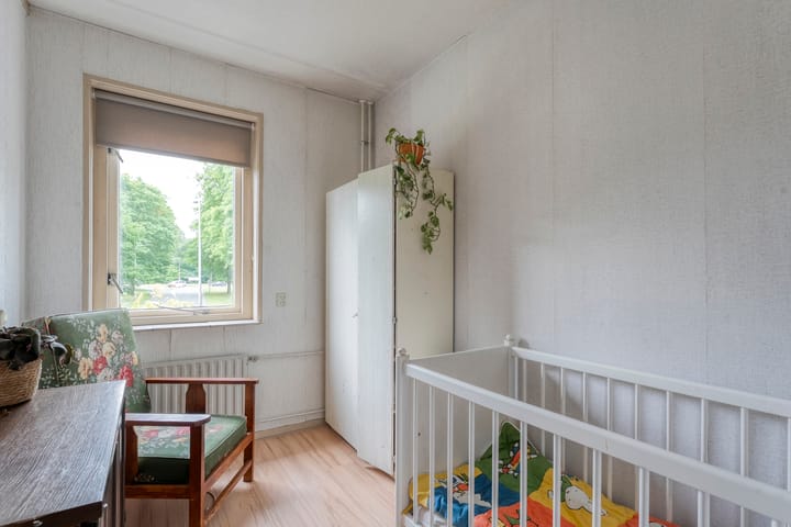 Foto 20 van Houtduif 15