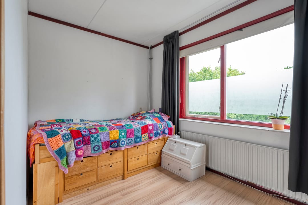 Foto 22 van Houtduif 15