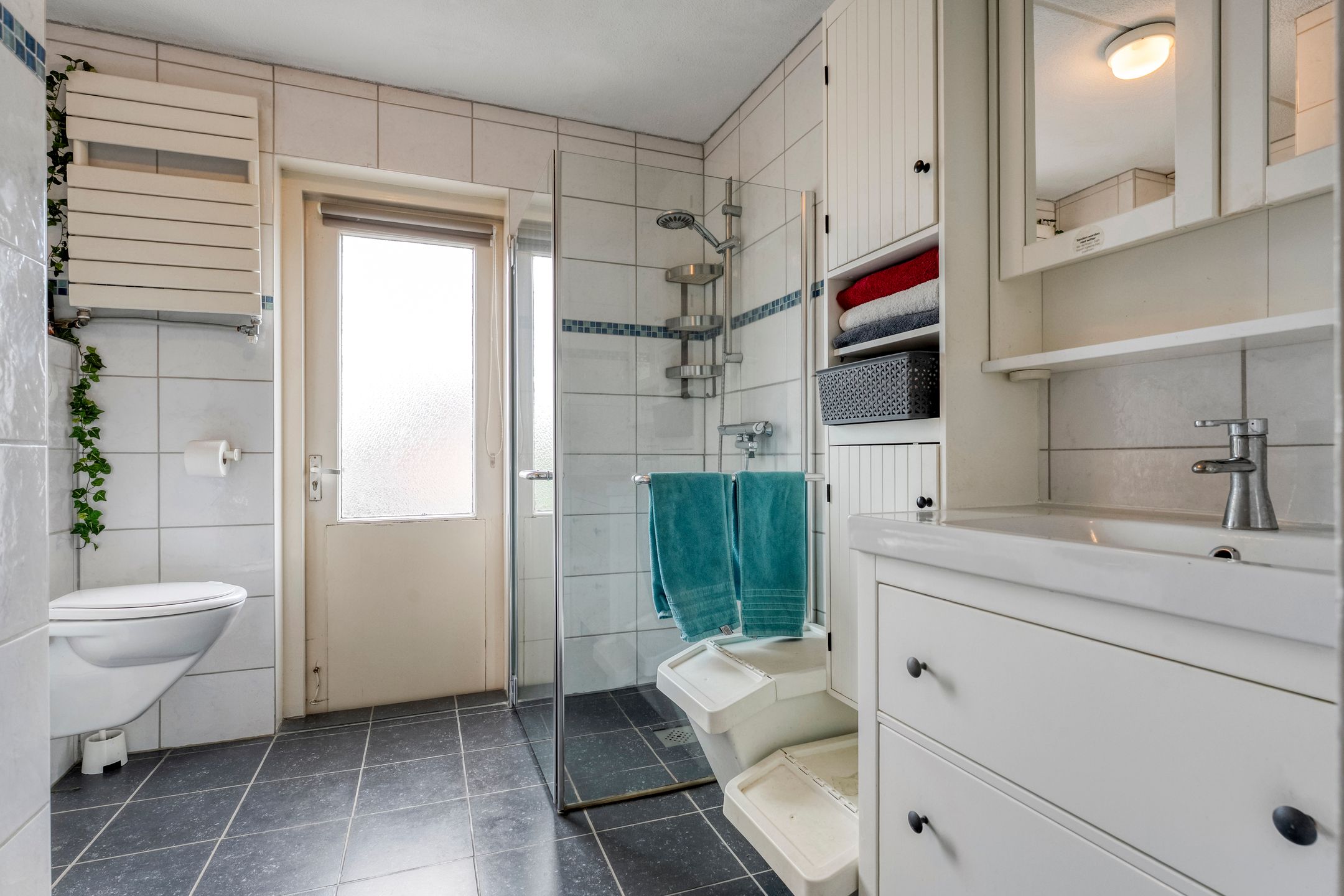 Foto 24 van Houtduif 15