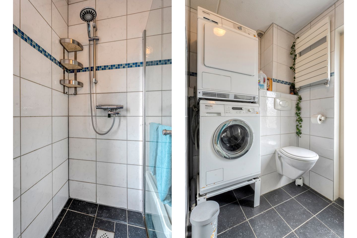 Foto 25 van Houtduif 15