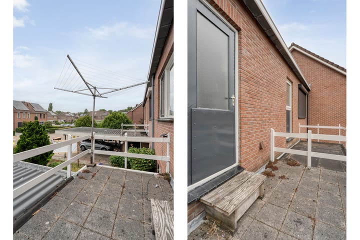 Foto 31 van Houtduif 15