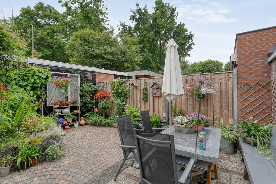 Foto 32 van Houtduif 15