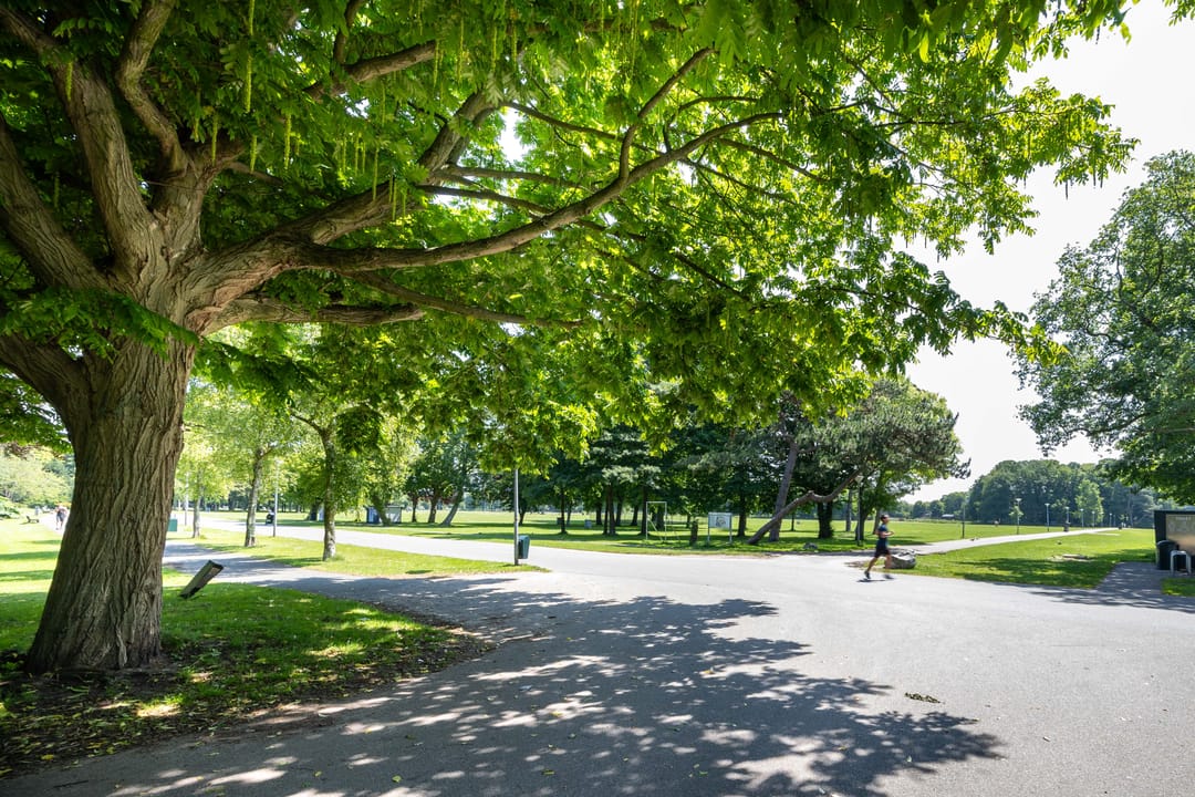 Foto 31 van Vreeswijkstraat 283