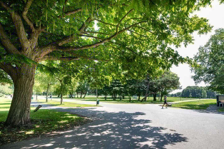 Foto 31 van Vreeswijkstraat 283