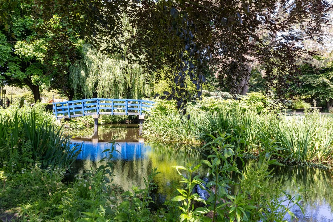 Foto 32 van Vreeswijkstraat 283