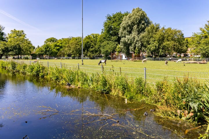 Foto 33 van Vreeswijkstraat 283