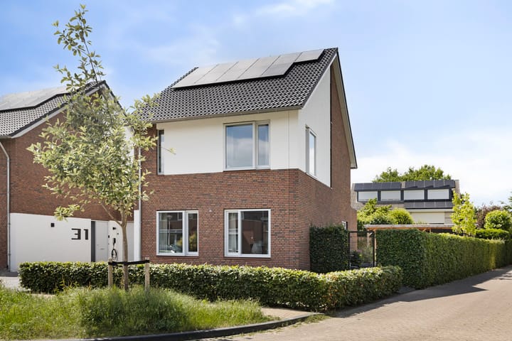 Photo 1 of Parelmoervlinder 33