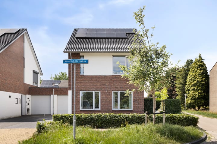 Photo 37 of Parelmoervlinder 33