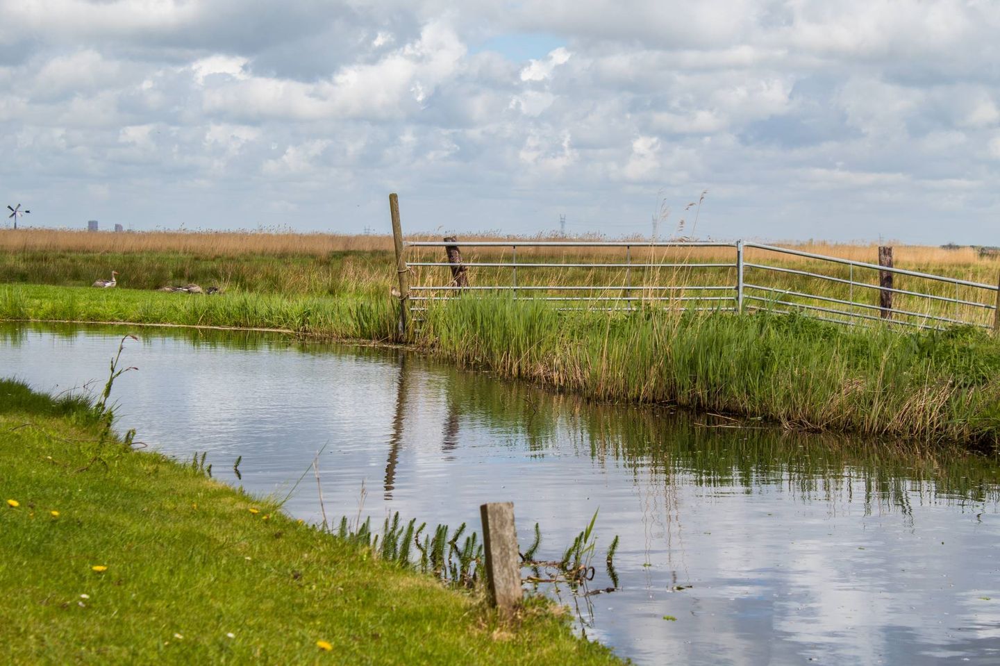 Photo 44 of Lisstraat 18