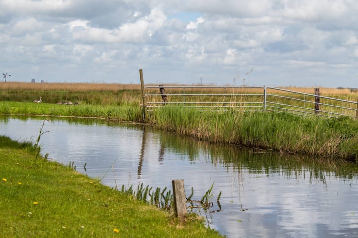 Foto 44 van Lisstraat 18