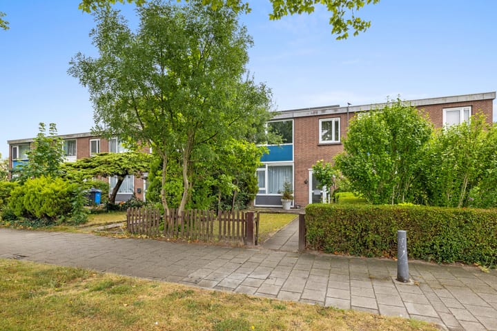 Foto 28 van Steurweg 3