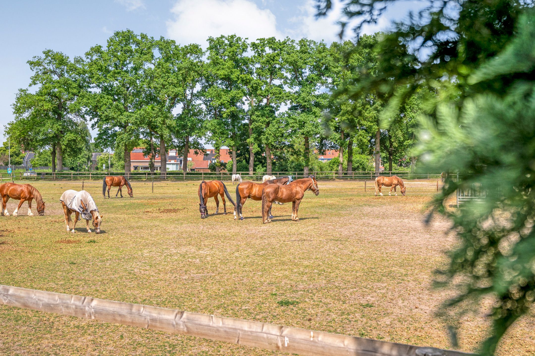 Foto 45 van Hollewandsweg 13