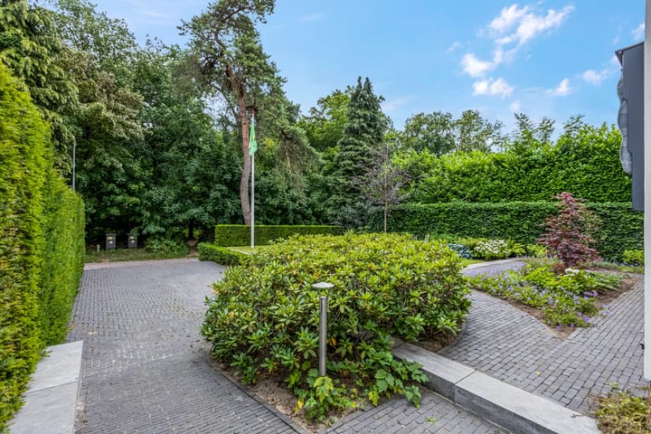 Foto 43 van Bosrand 5