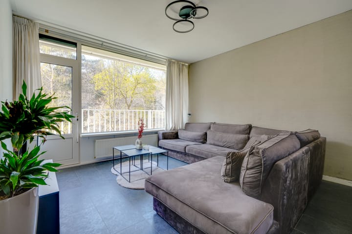 Foto 2 van Anna Paulownalaan 25