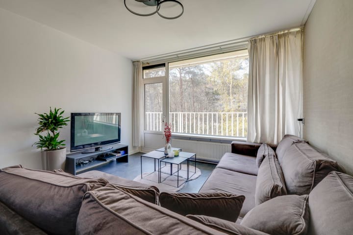 Foto 4 van Anna Paulownalaan 25