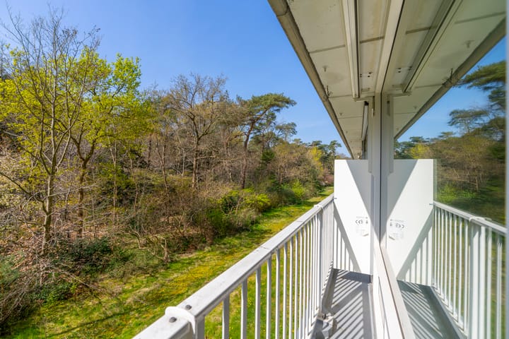 Foto 14 van Anna Paulownalaan 25