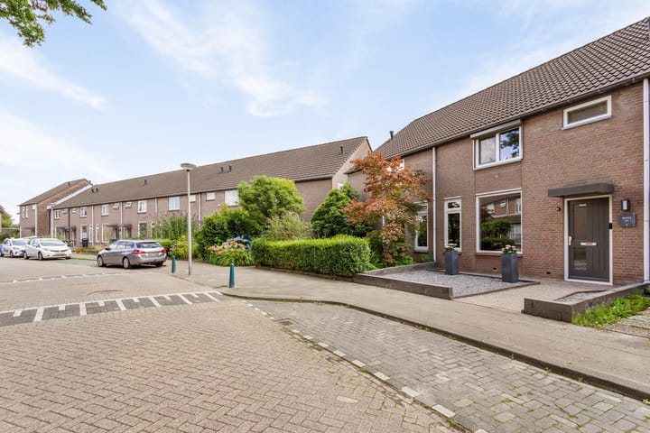 Foto 5 van Zilvermeeuw 122