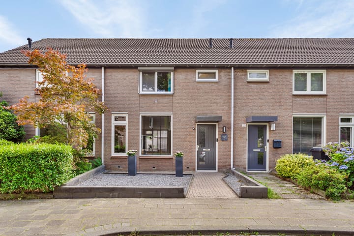 Photo 6 of Zilvermeeuw 122