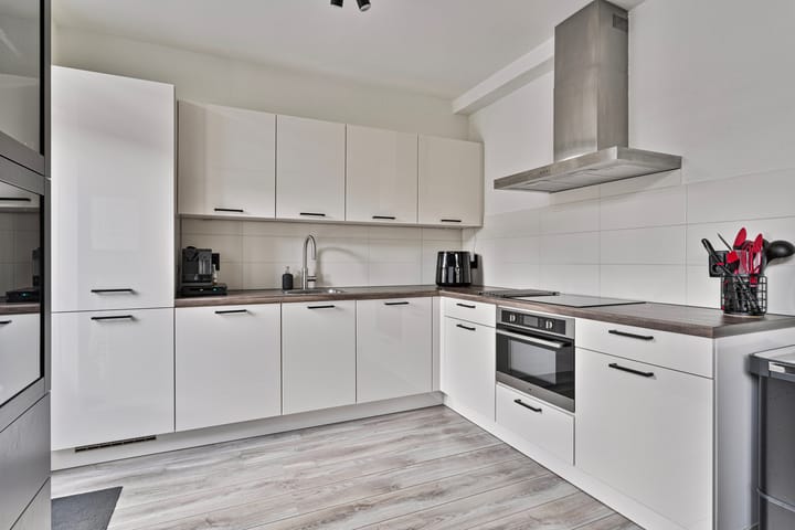 Photo 10 of Zilvermeeuw 122