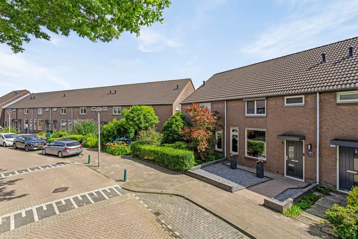 Photo 31 of Zilvermeeuw 122