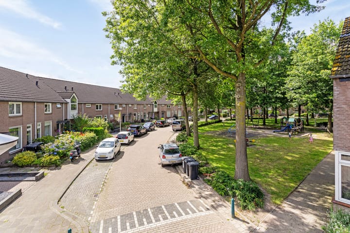 Photo 32 of Zilvermeeuw 122