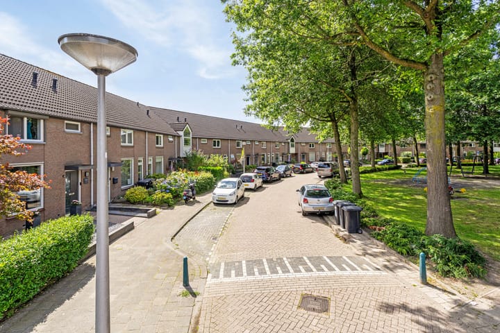 Photo 33 of Zilvermeeuw 122