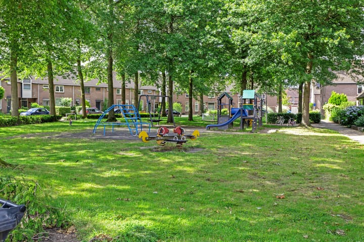 Photo 34 of Zilvermeeuw 122