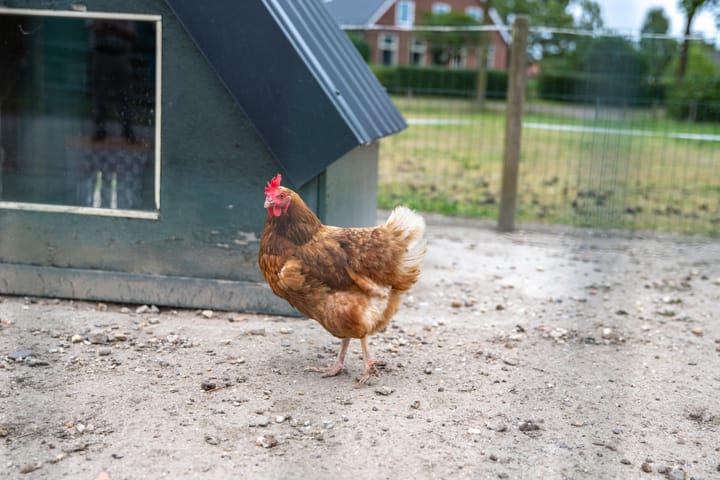 Foto 55 van Sluissestraat 7