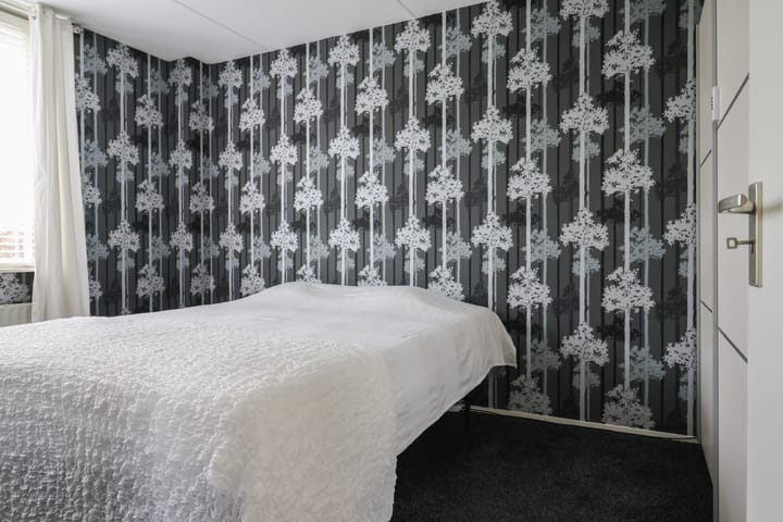 Foto 5 van Kinkhoarn 52