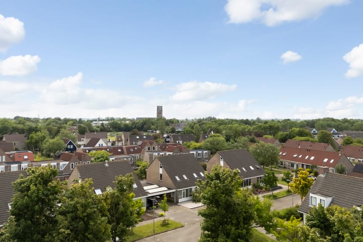 Foto 68 van Kinkhoarn 52