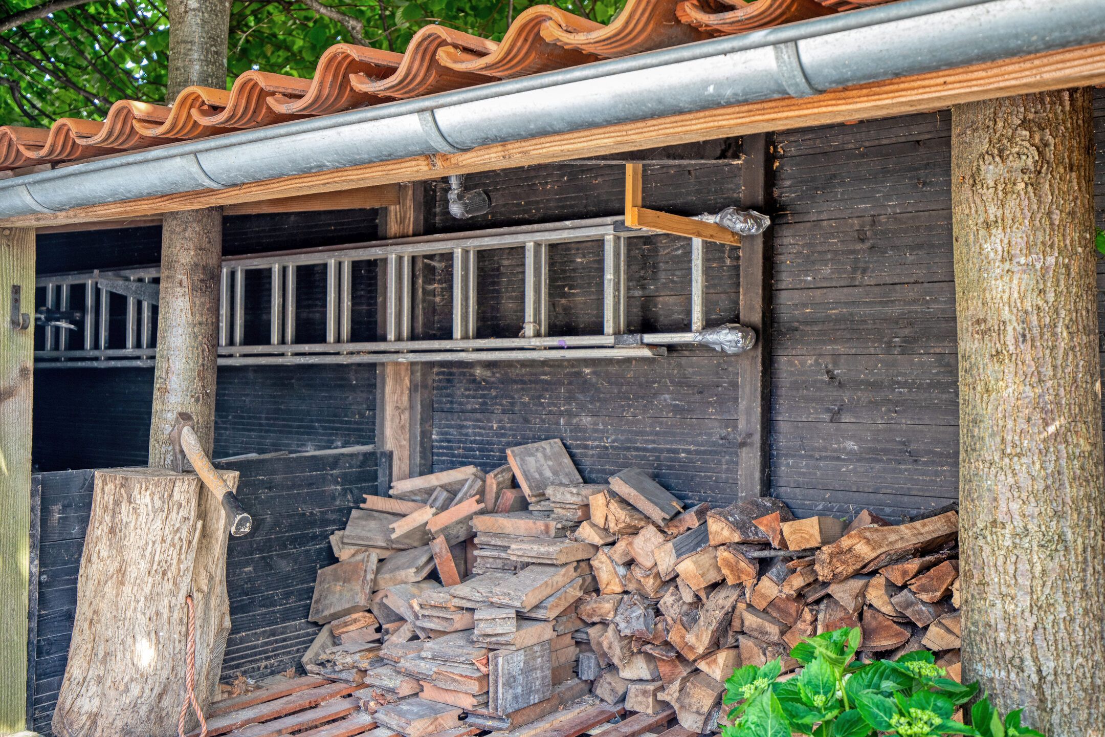 Photo 45 of Binnenlandse Baan 44