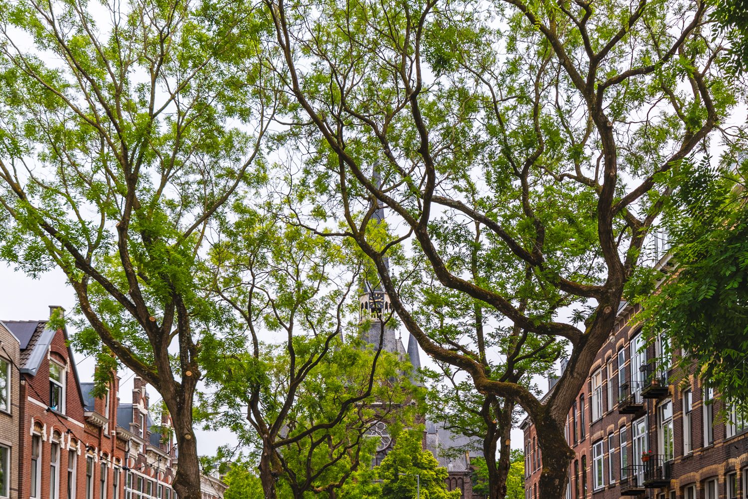 Foto 33 van Blommersdijkselaan 38-A