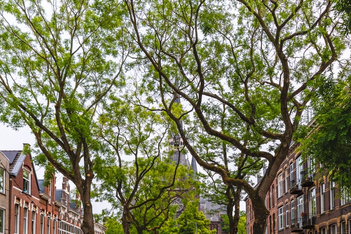 Foto 33 van Blommersdijkselaan 38-A